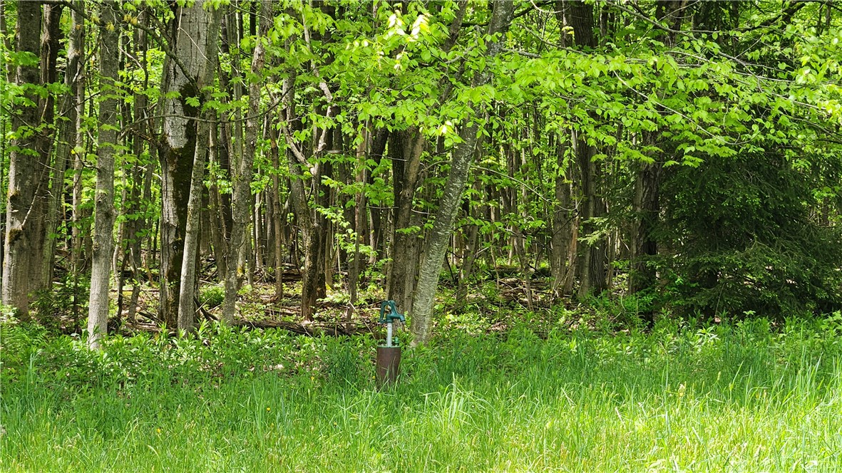 6291 Burke Road Prattsburgh, NY 14873 - Photo 12 of 41