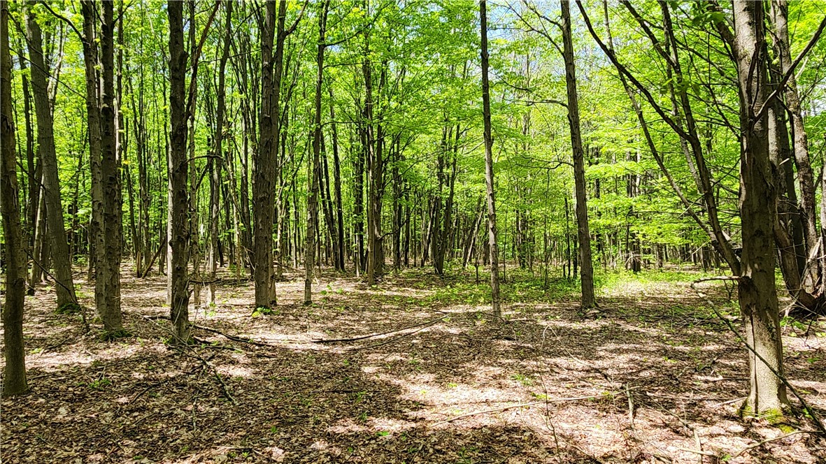 6291 Burke Road Prattsburgh, NY 14873 - Photo 13 of 41