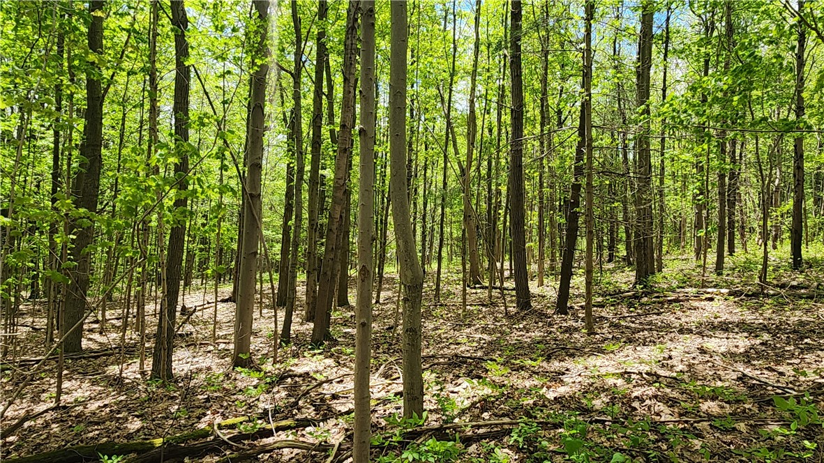 6291 Burke Road Prattsburgh, NY 14873 - Photo 14 of 41