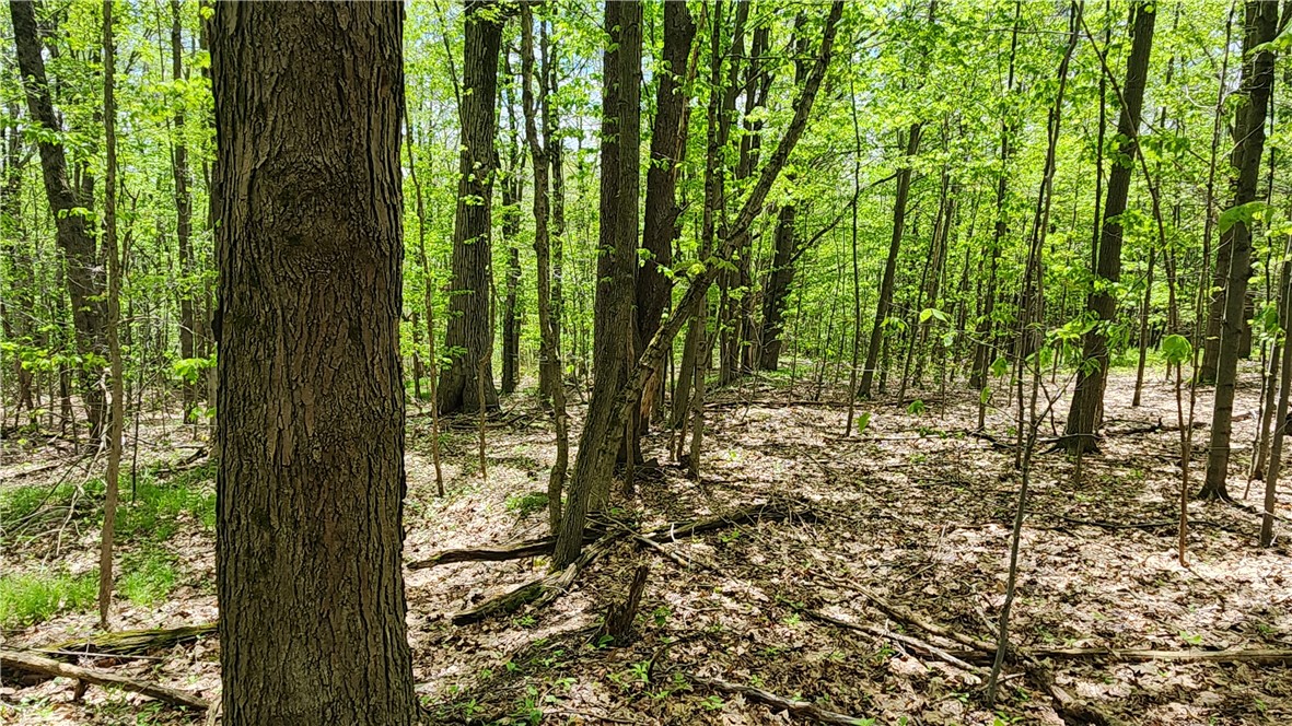 6291 Burke Road Prattsburgh, NY 14873 - Photo 15 of 41