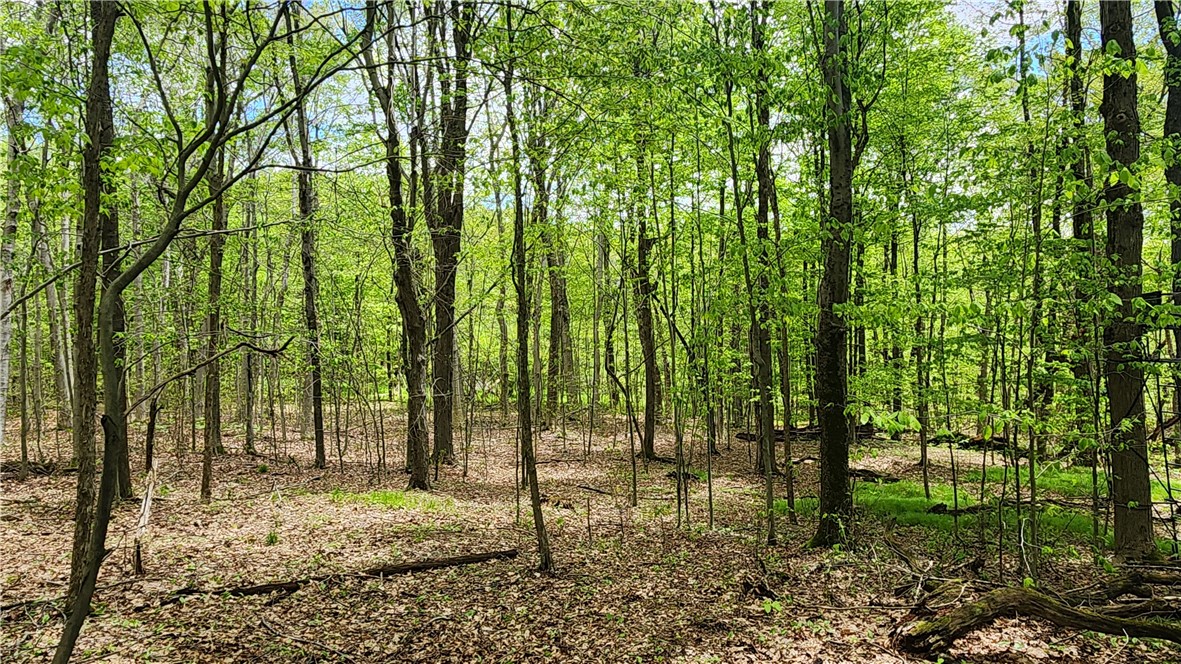 6291 Burke Road Prattsburgh, NY 14873 - Photo 16 of 41