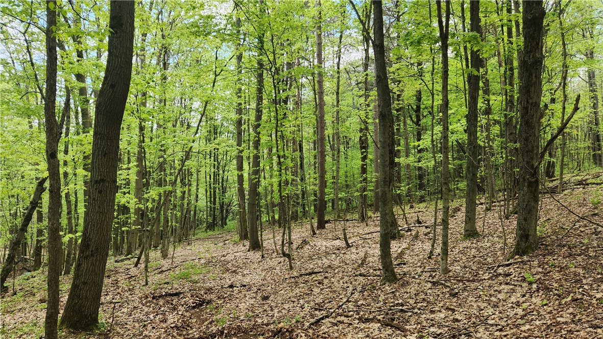 6291 Burke Road Prattsburgh, NY 14873 - Photo 17 of 41