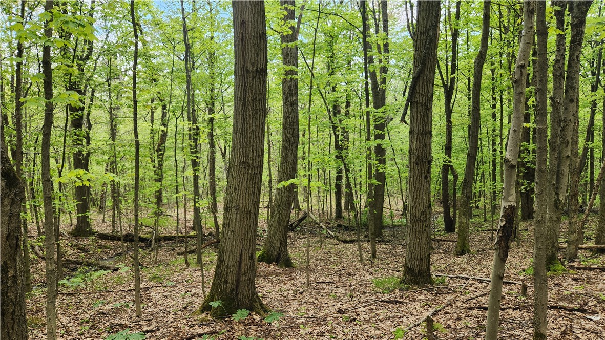 6291 Burke Road Prattsburgh, NY 14873 - Photo 18 of 41