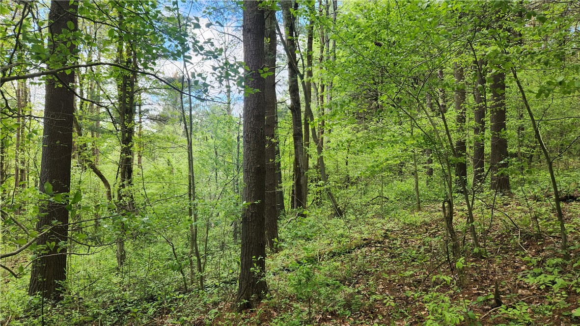 6291 Burke Road Prattsburgh, NY 14873 - Photo 20 of 41