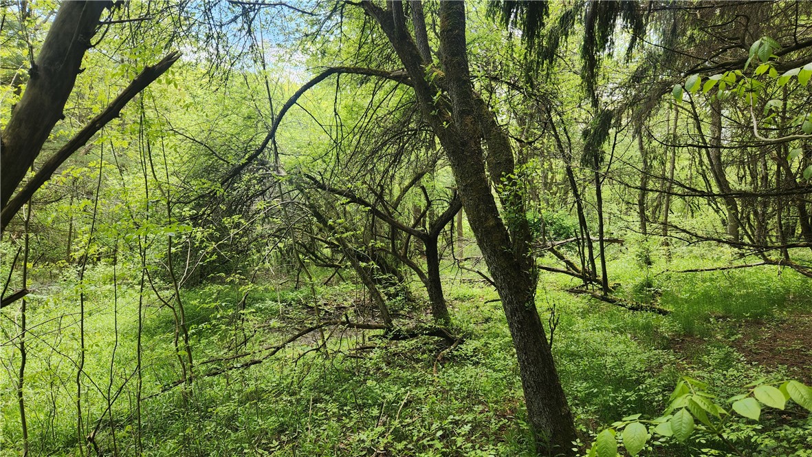 6291 Burke Road Prattsburgh, NY 14873 - Photo 23 of 41