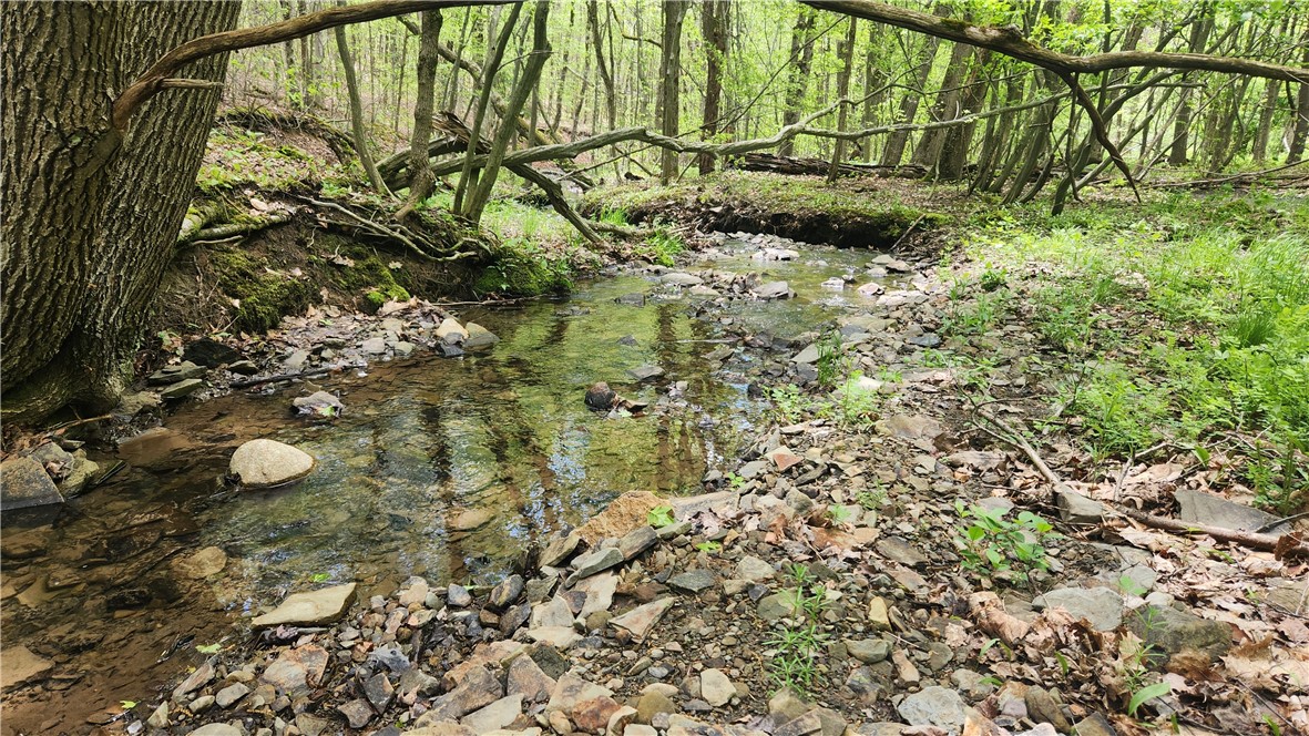 6291 Burke Road Prattsburgh, NY 14873 - Photo 26 of 41