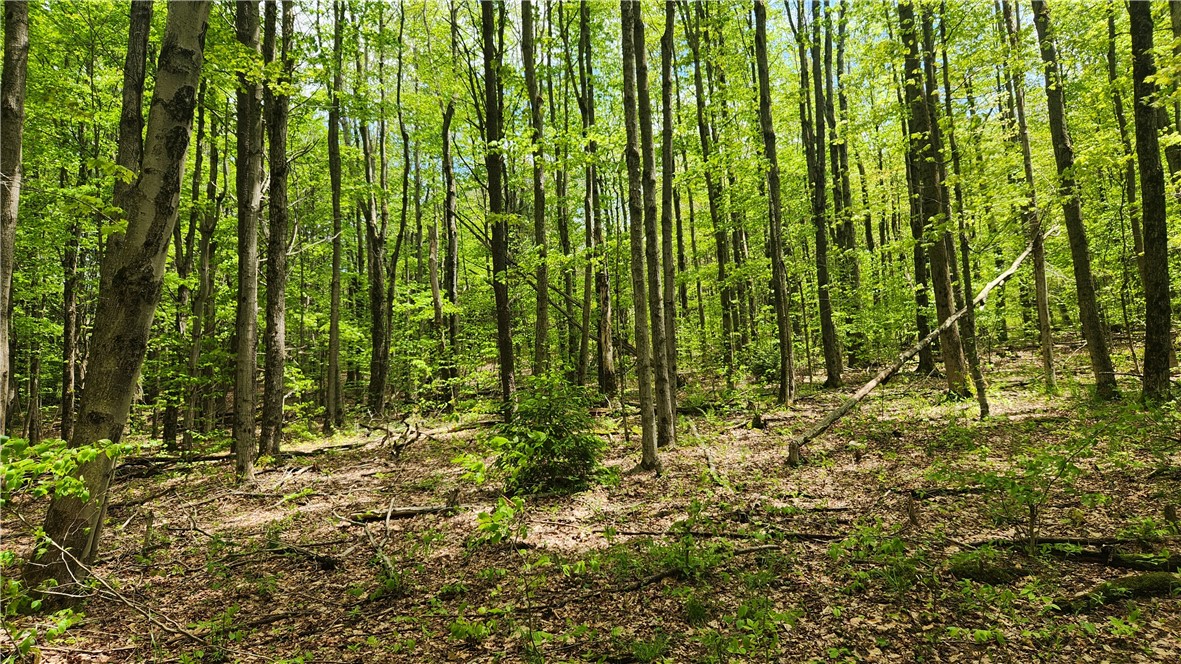 6291 Burke Road Prattsburgh, NY 14873 - Photo 28 of 41