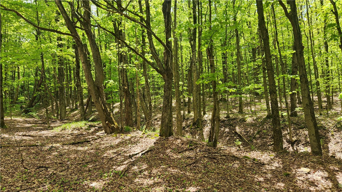 6291 Burke Road Prattsburgh, NY 14873 - Photo 29 of 41