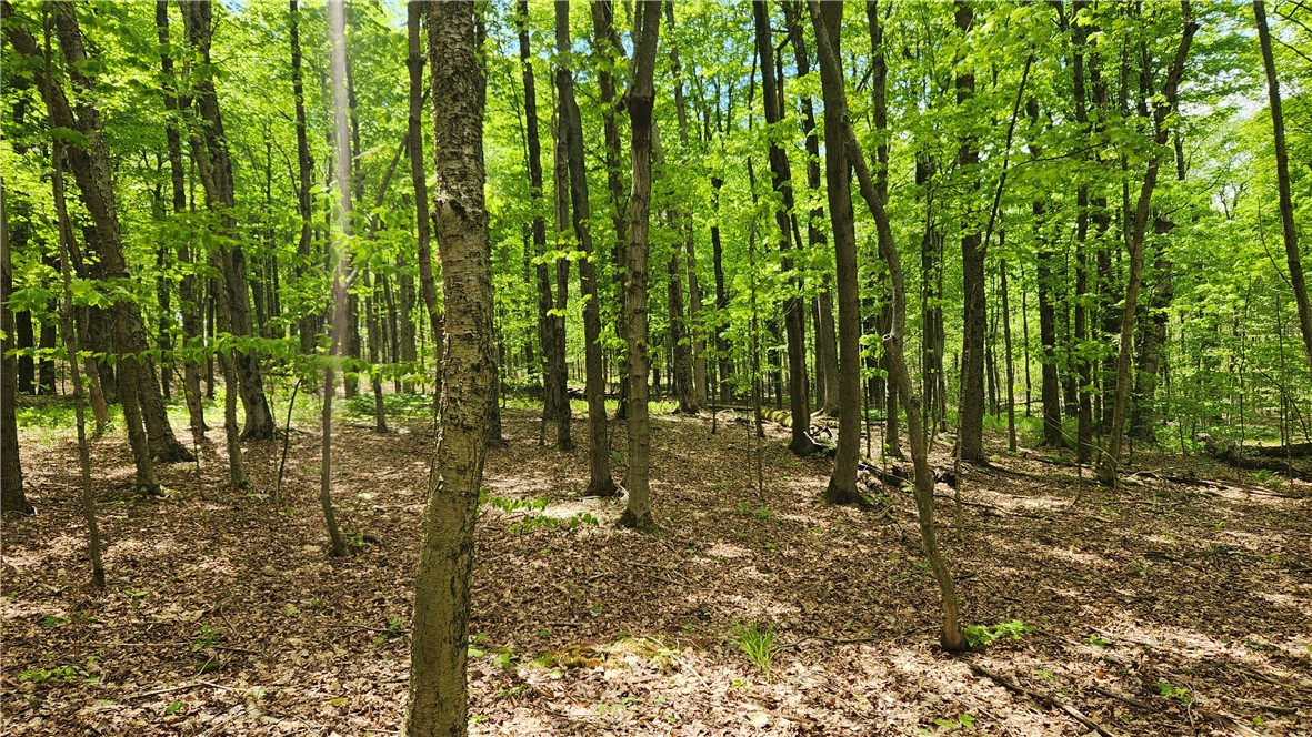 6291 Burke Road Prattsburgh, NY 14873 - Photo 30 of 41