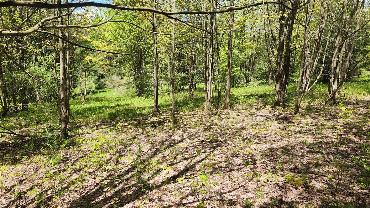 6291 Burke Road Prattsburgh, NY 14873 - Photo 34 of 41