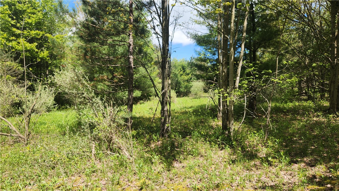 6291 Burke Road Prattsburgh, NY 14873 - Photo 35 of 41