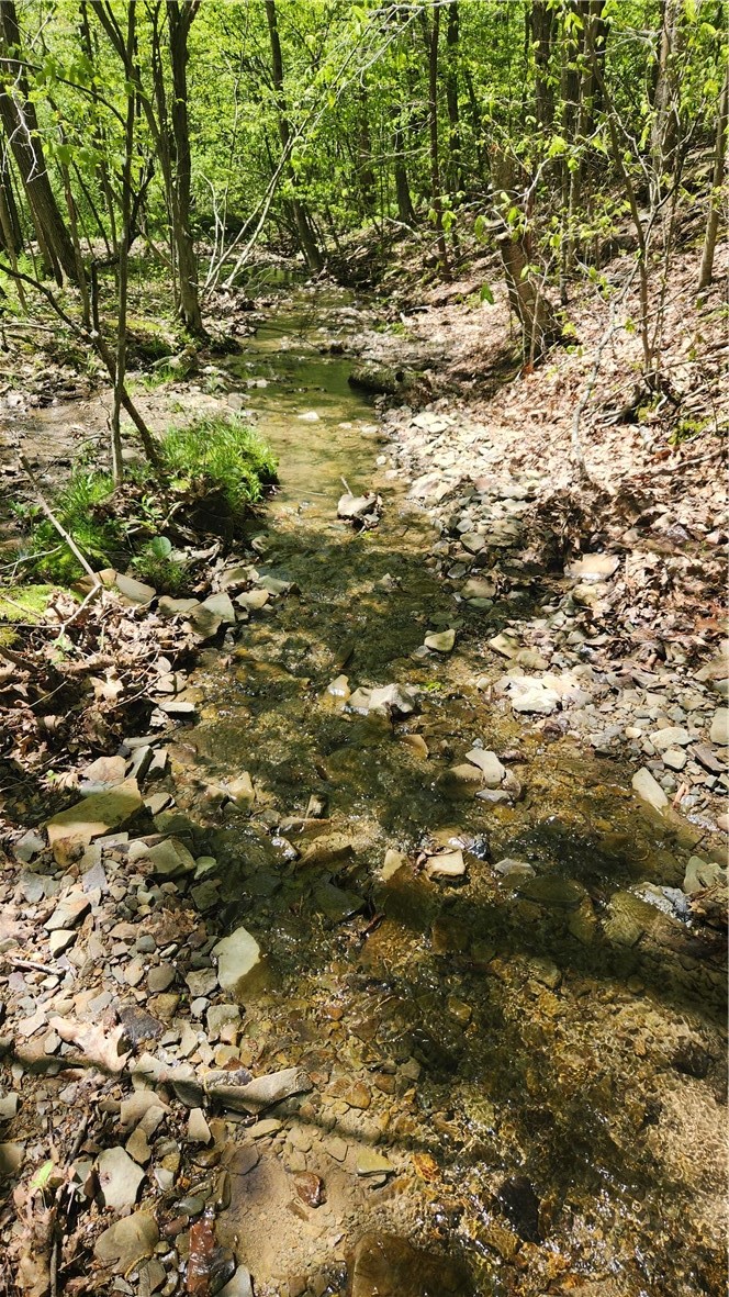 6291 Burke Road Prattsburgh, NY 14873 - Photo 36 of 41