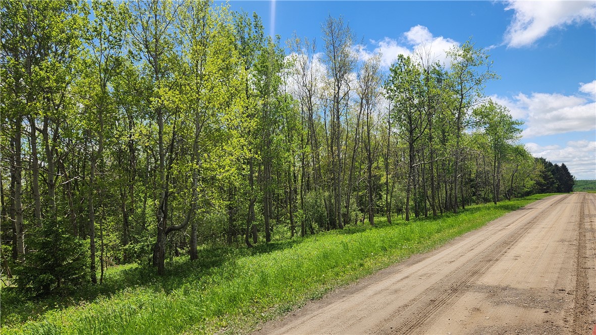 6291 Burke Road Prattsburgh, NY 14873 - Photo 37 of 41