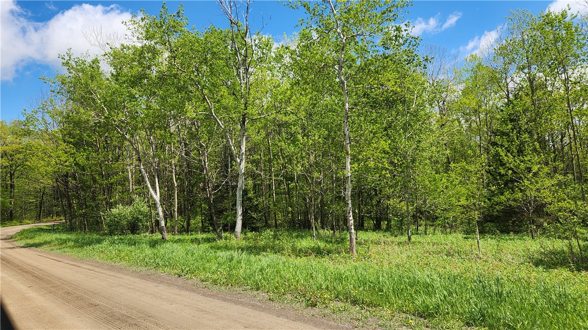 6291 Burke Road Prattsburgh, NY 14873 - Photo 38 of 41