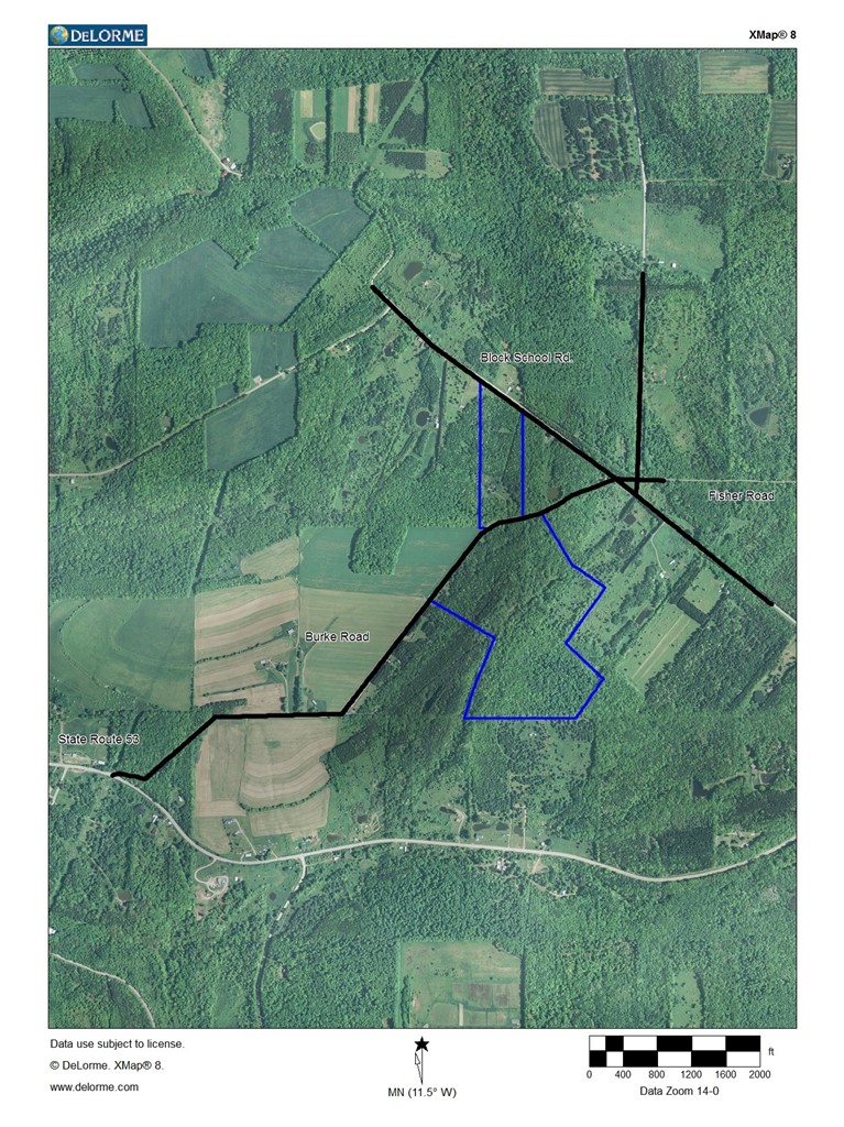 6291 Burke Road Prattsburgh, NY 14873 - Photo 39 of 41