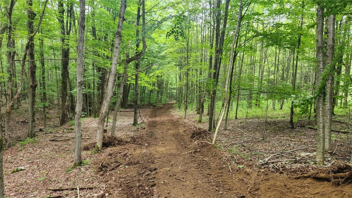 6291 Burke Road Prattsburgh, NY 14873 - Photo 4 of 41