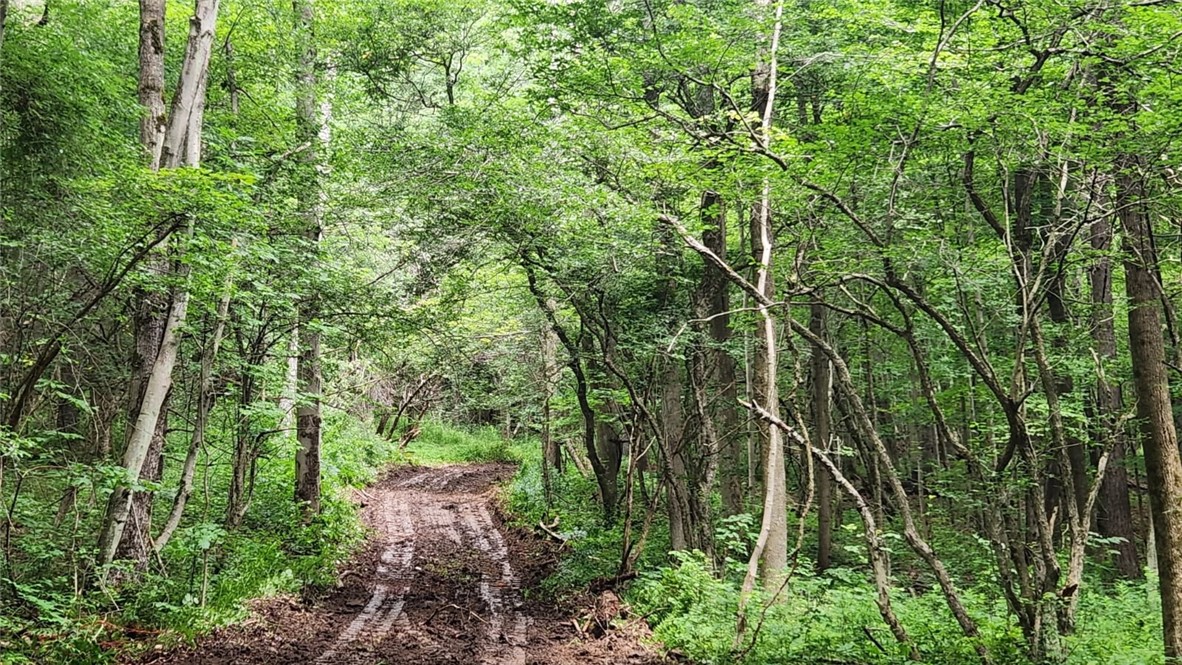 6291 Burke Road Prattsburgh, NY 14873 - Photo 5 of 41