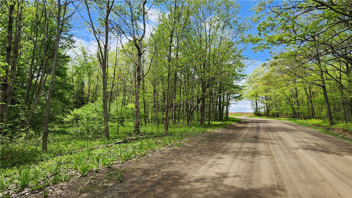 6291 Burke Road Prattsburgh, NY 14873 - Photo 7 of 41