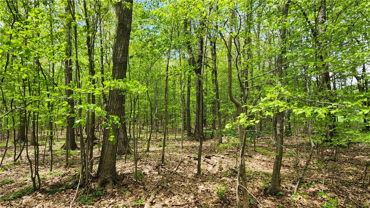 6291 Burke Road Prattsburgh, NY 14873 - Photo 8 of 41