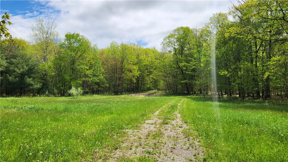 6291 Burke Road Prattsburgh, NY 14873 - Photo 10 of 41