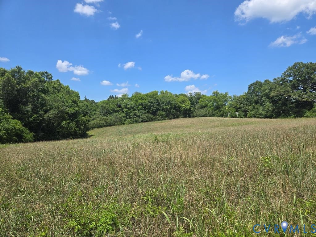 0 Mulberry Hill Road Randolph, VA 23962 - Photo 1 of 7