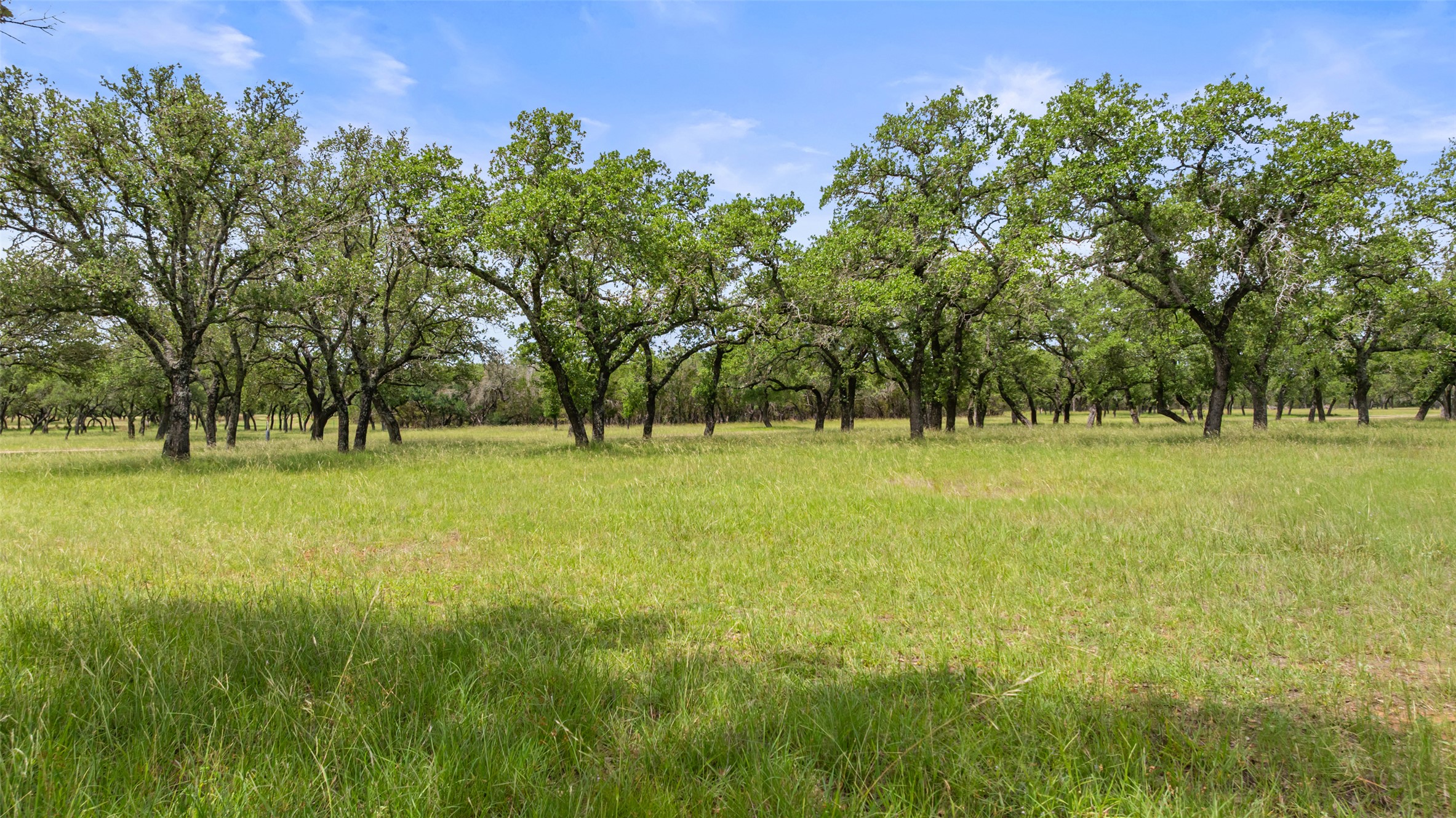 1241-1 Sandy Oaks Ranch Road Johnson City, TX 78636 - Photo 2 of 8 View of local wilderness