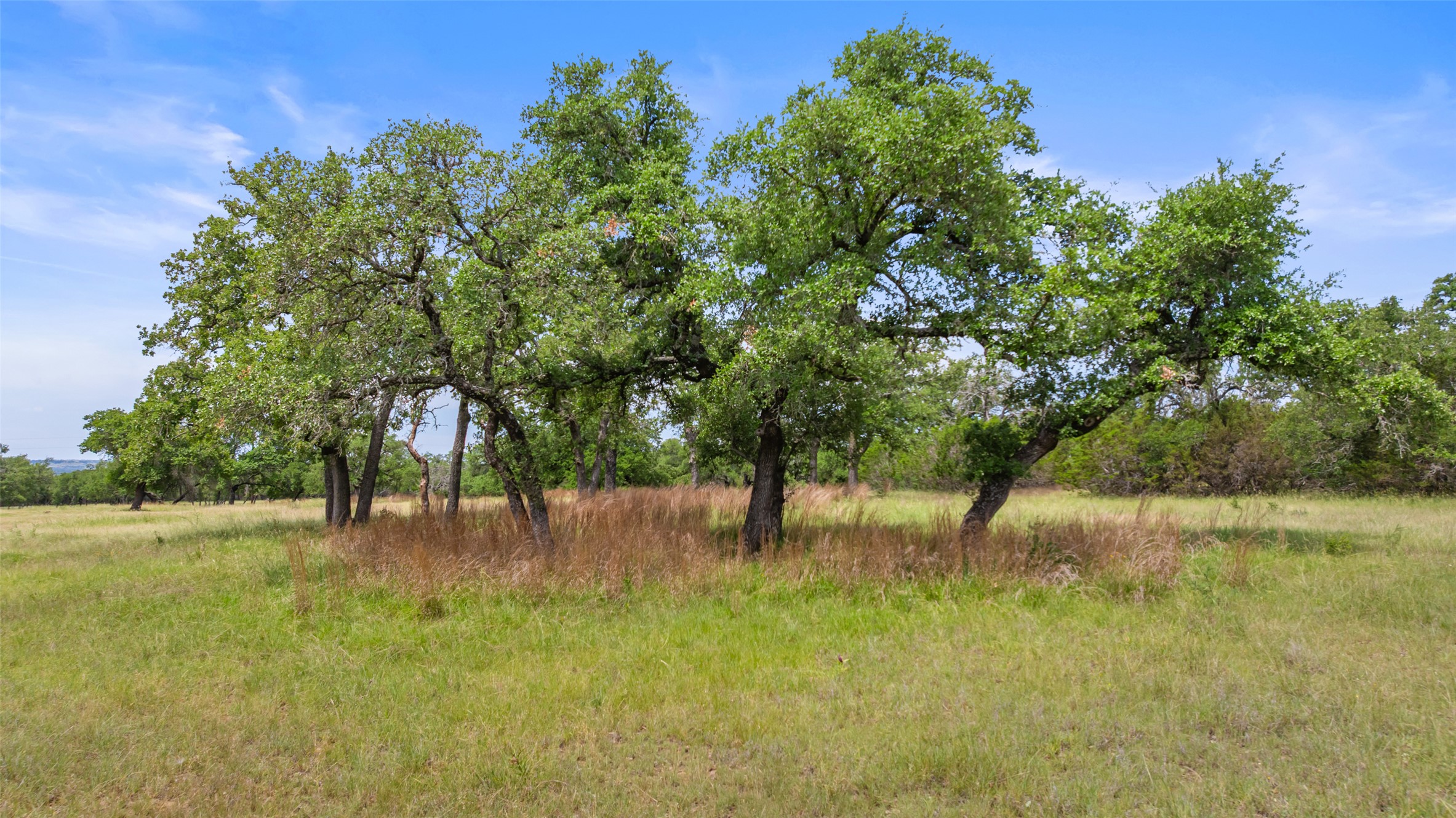 1241-1 Sandy Oaks Ranch Road Johnson City, TX 78636 - Photo 6 of 8 View of nature