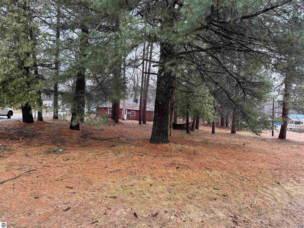 3105 North 3 1/4 Road Mesick, MI 49668 - Photo 11 of 13