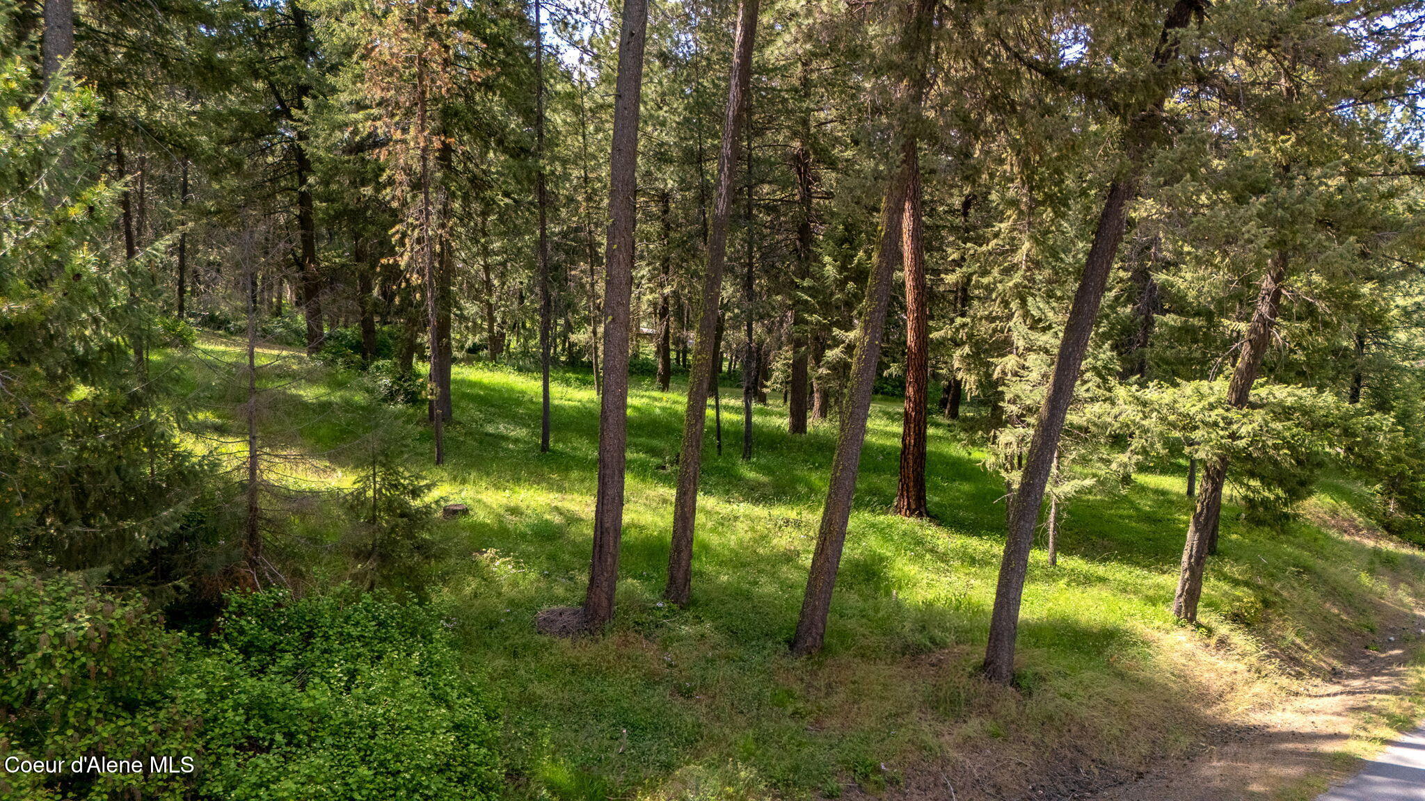 Nna Stoneridge Road Blanchard, ID 83804 - Photo 2 of 17 31-web-or-mls-SkyLight - Stoneridge (DM)
