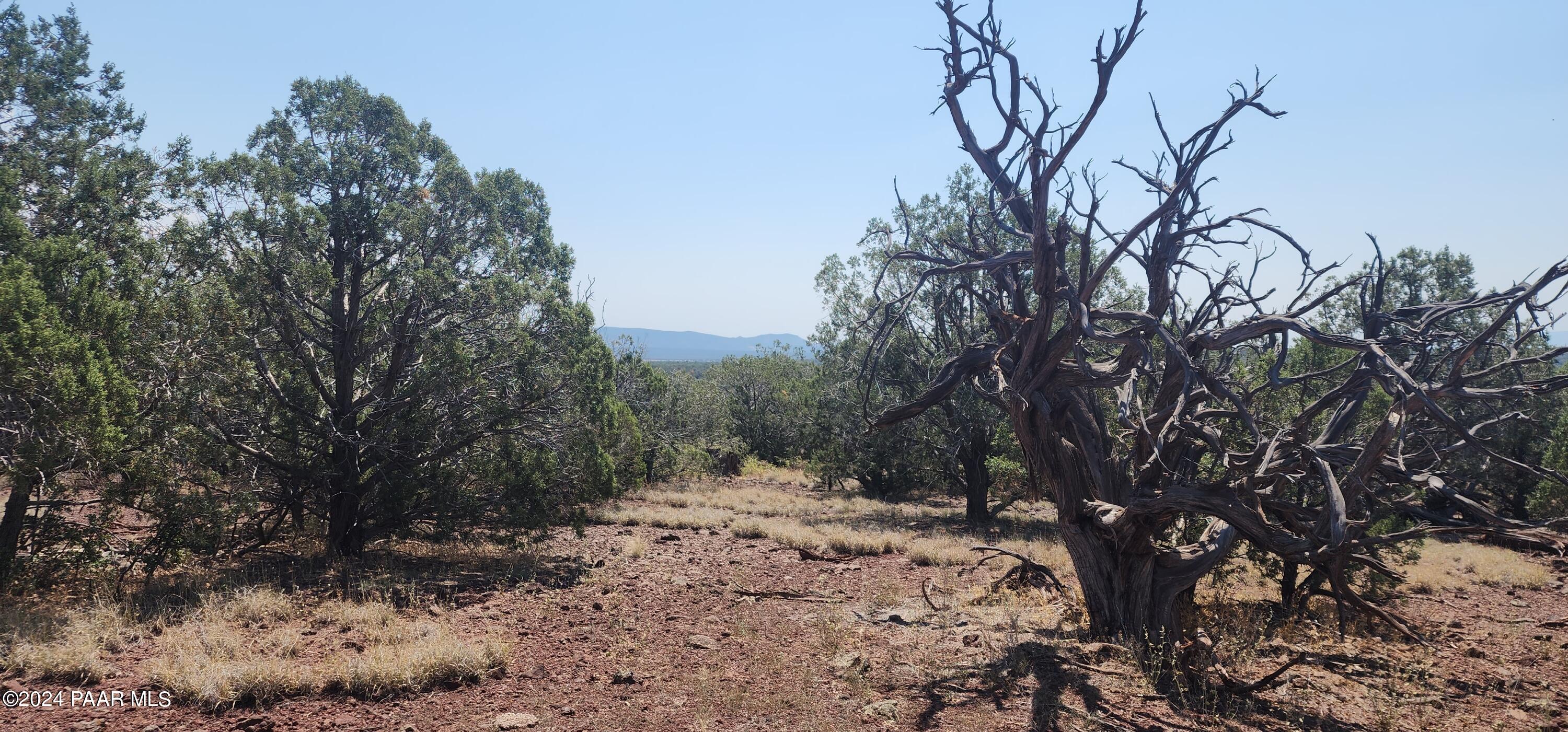 66 Camp Road Ash Fork, AZ 86320 - Photo 1 of 9 20240710_111826