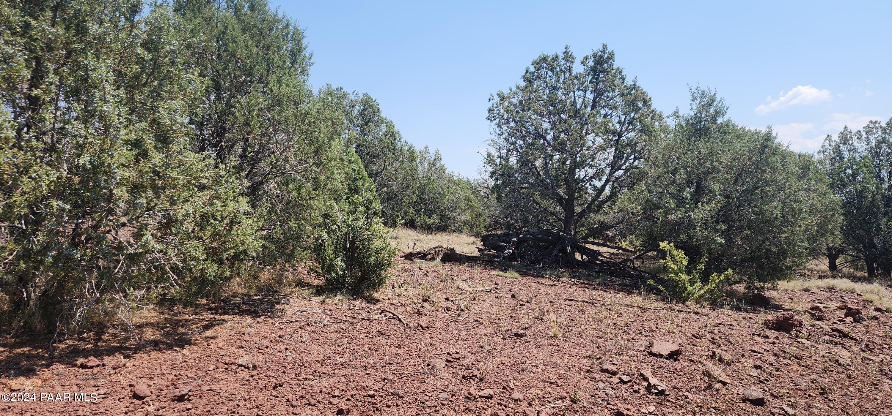 66 Camp Road Ash Fork, AZ 86320 - Photo 2 of 9 Mt top