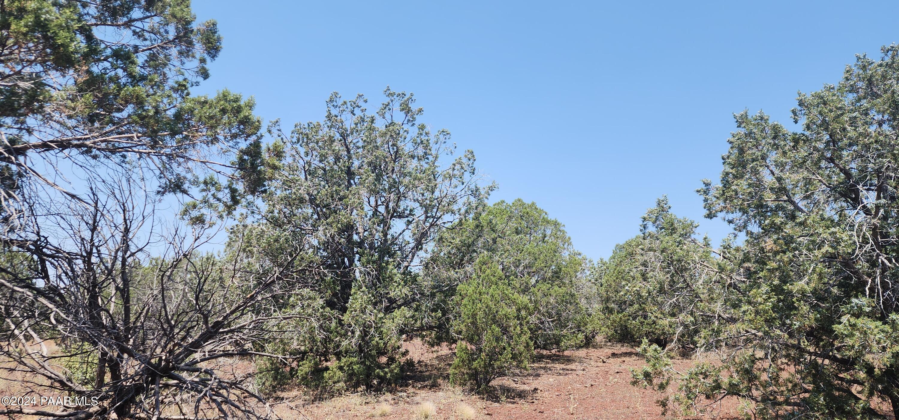 66 Camp Road Ash Fork, AZ 86320 - Photo 3 of 9 20240710_111748