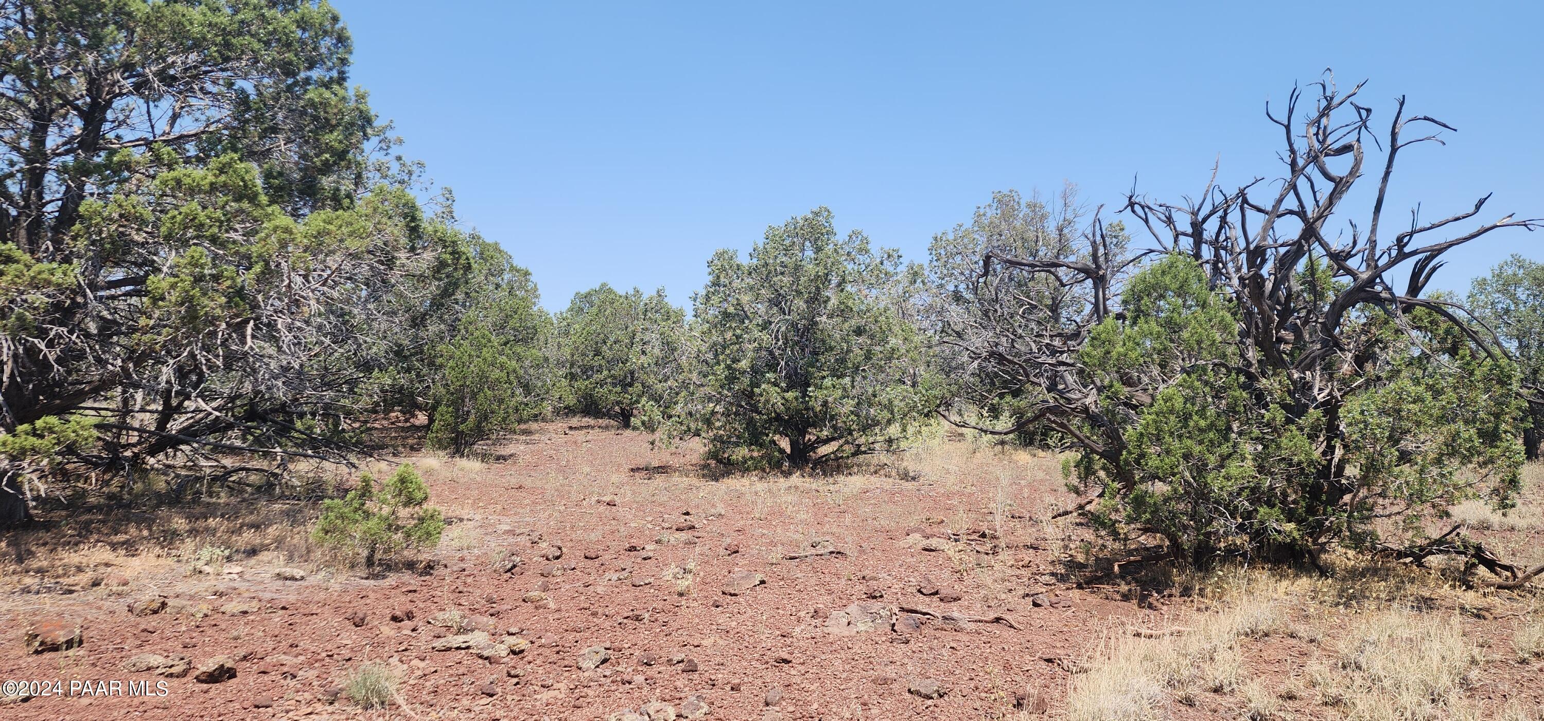 66 Camp Road Ash Fork, AZ 86320 - Photo 7 of 9 20240710_111732