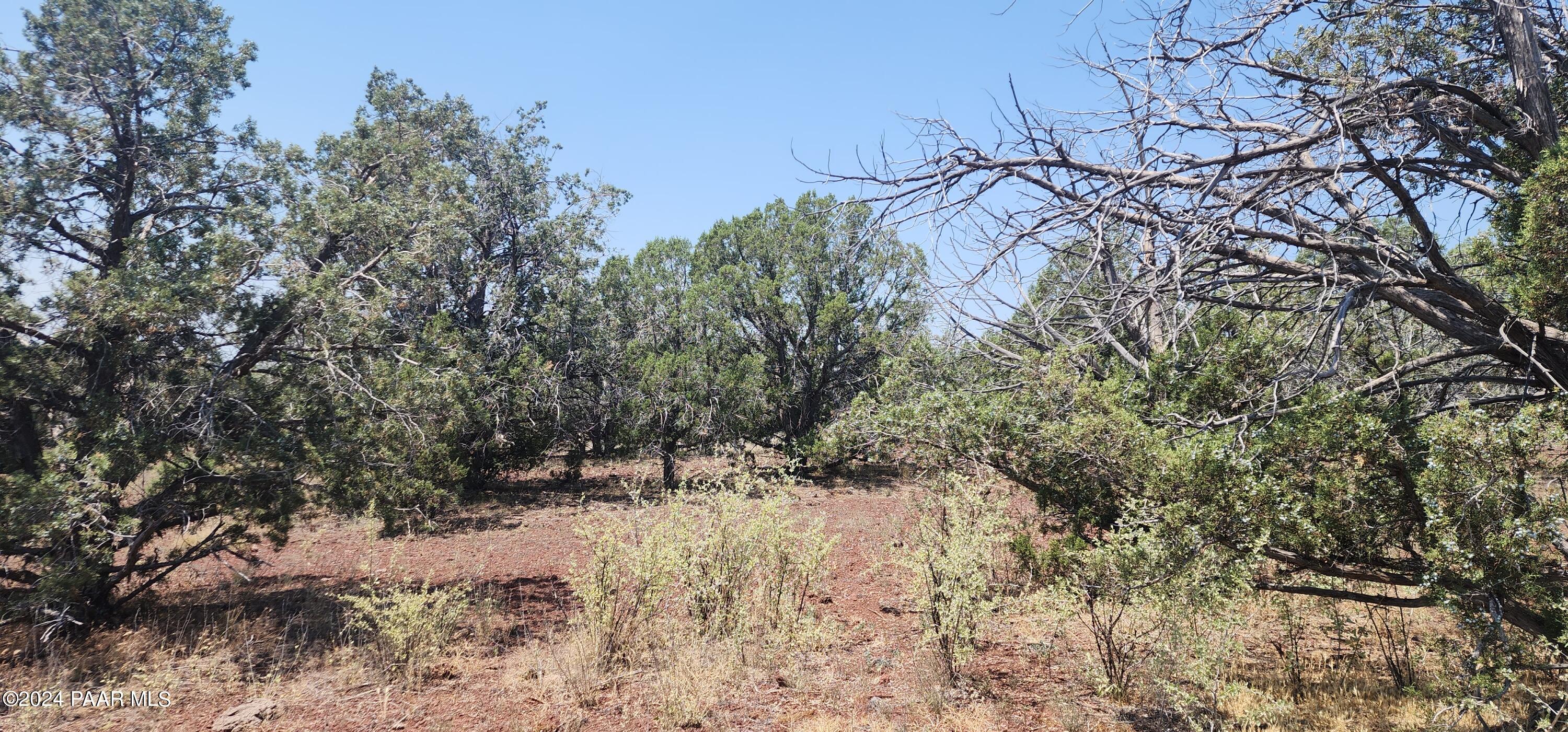 66 Camp Road Ash Fork, AZ 86320 - Photo 8 of 9 20240710_111814