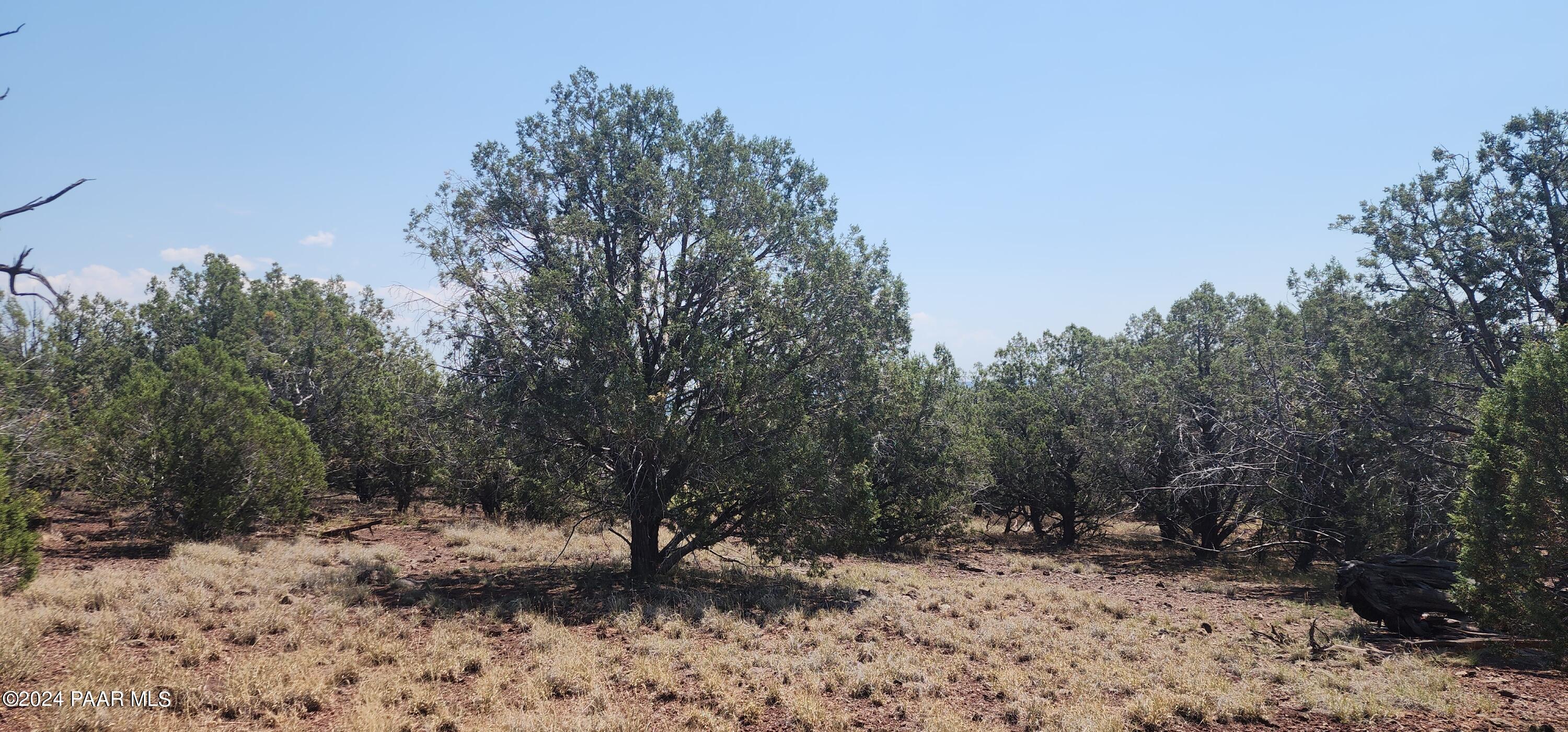 66 Camp Road Ash Fork, AZ 86320 - Photo 9 of 9 20240710_111850