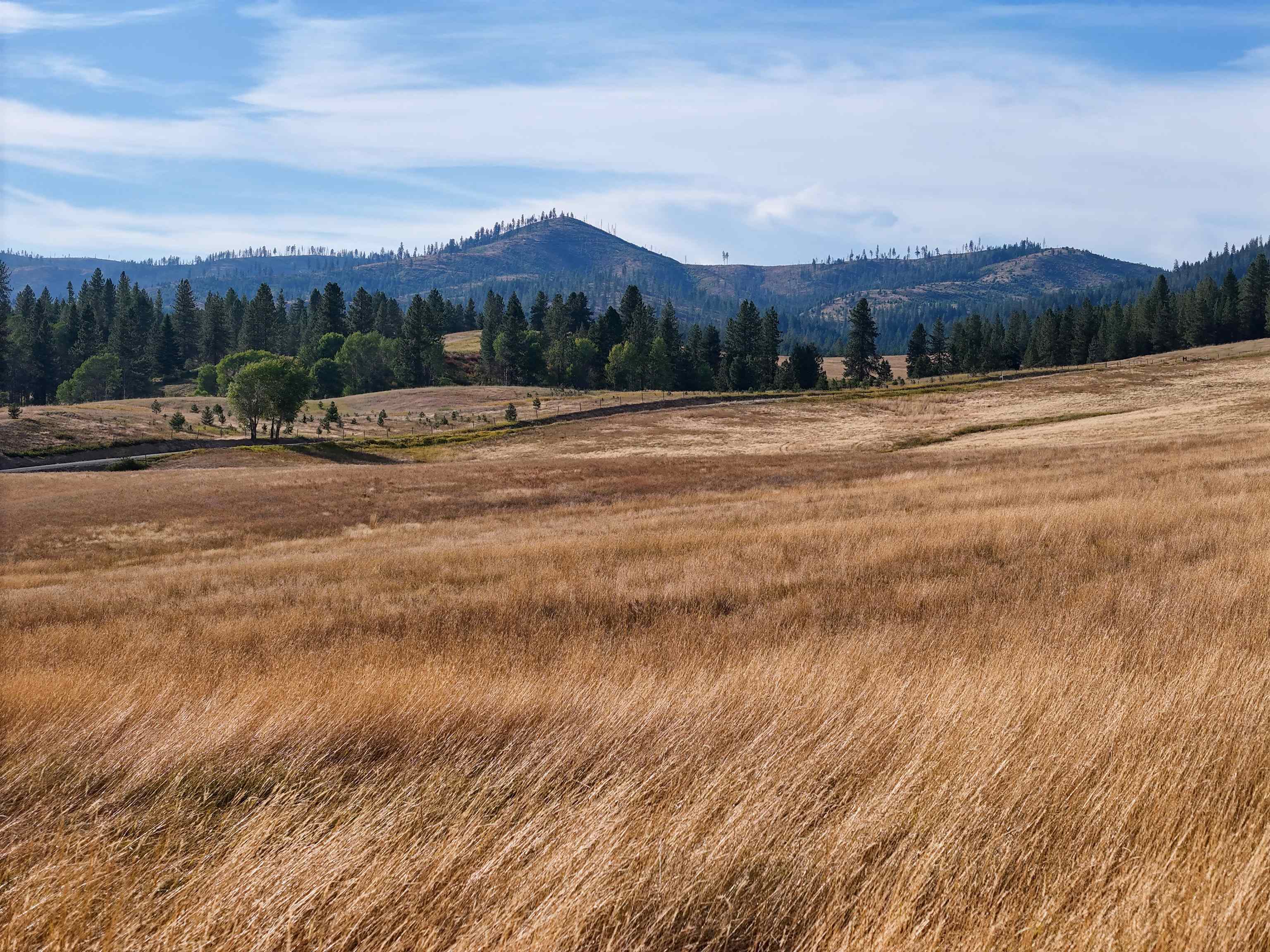 52-xx Wagner Road Springdale, WA 99173 - Photo 27 of 50