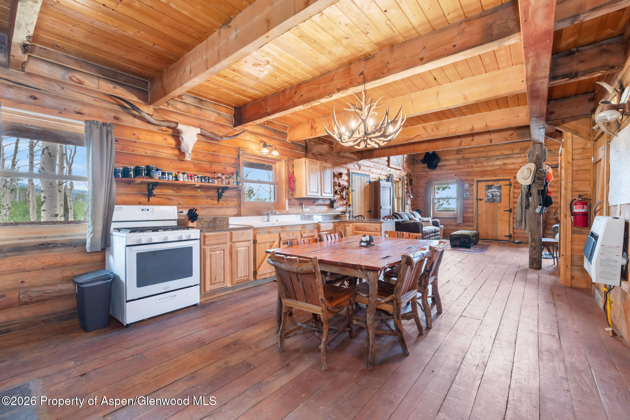 943 Routt Forest Drive Craig, CO 81625 - Photo 39 of 60 IMGP6246