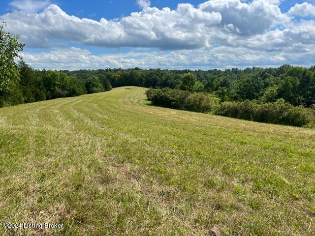 3541 Hardesty Ridge Road Taylorsville, KY 40071 - Photo 3 of 28 Land