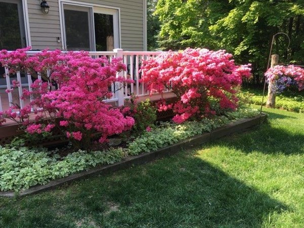 11 Old Great Road Littleton, MA 01460 - Photo 38 of 42 Gallery Image 38