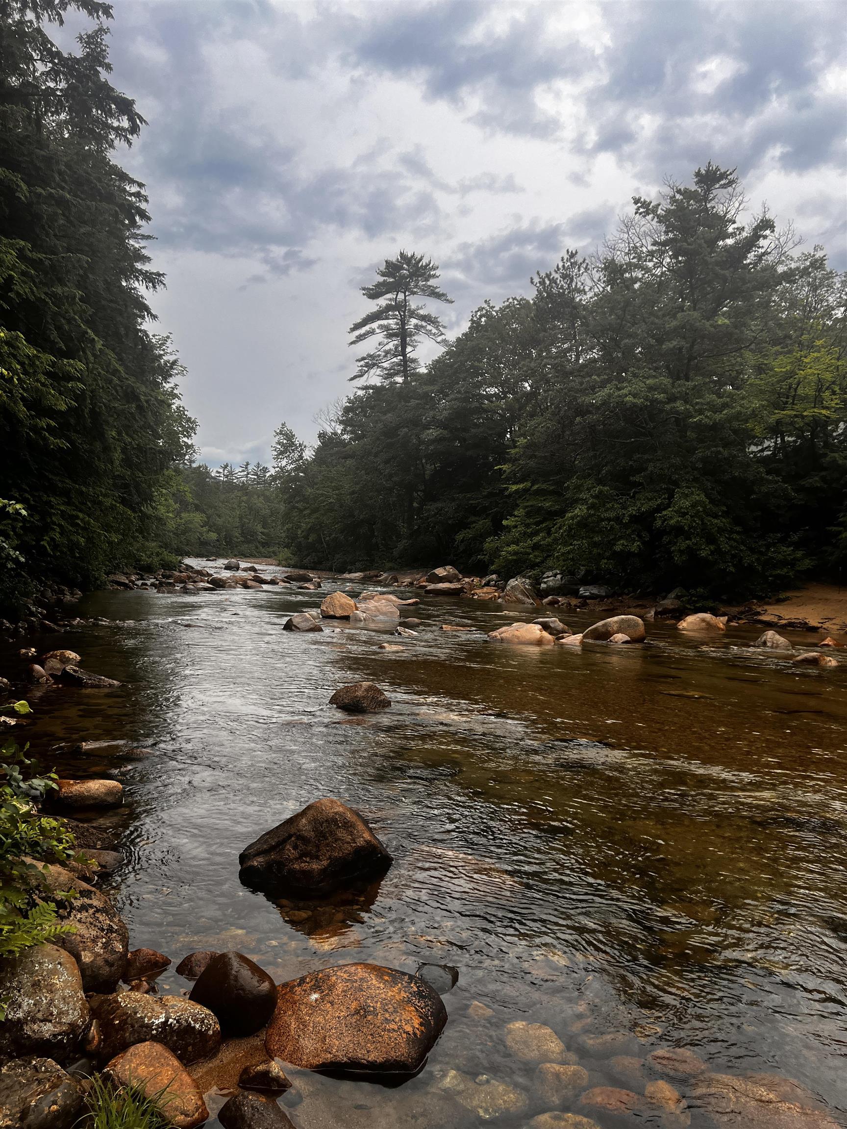 4 Bartlett Pl Road Bartlett, NH 03812 - Photo 2 of 57