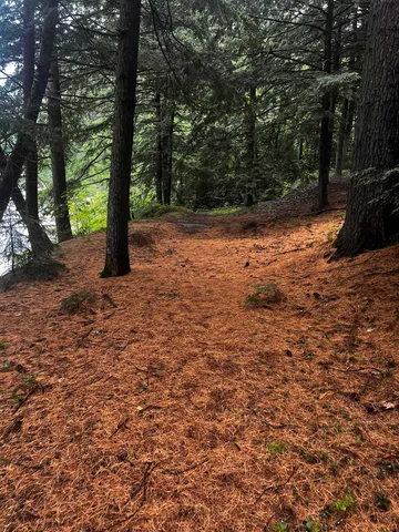 $495,000 | 4 Bartlett Pl Road, Bartlett, NH 03812