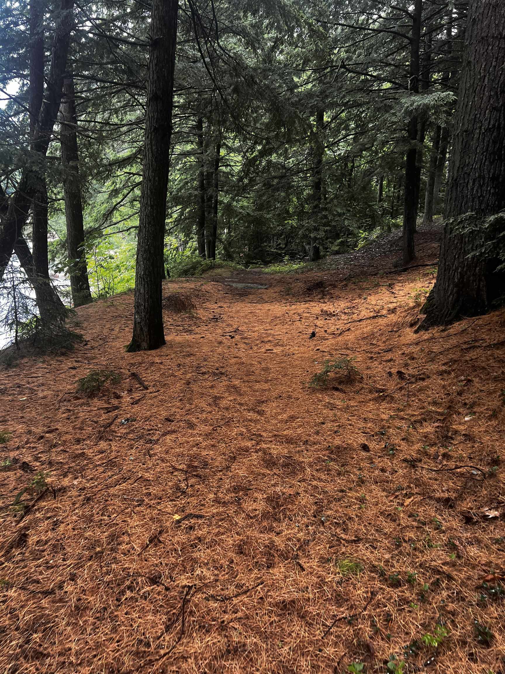 4 Bartlett Pl Road Bartlett, NH 03812 - Photo 44 of 57