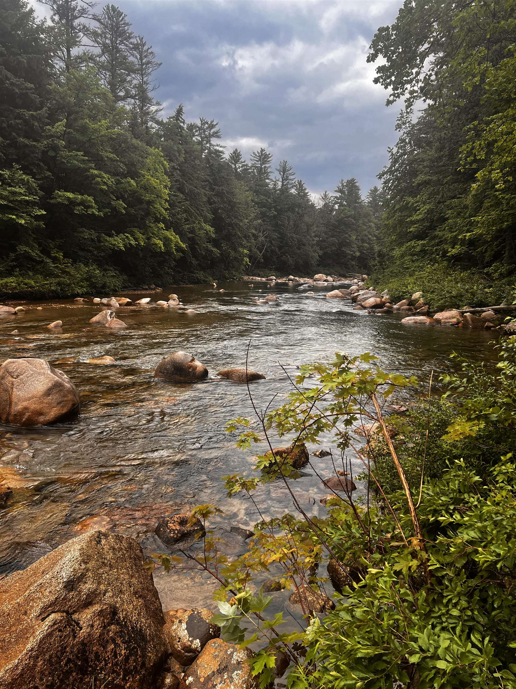 4 Bartlett Pl Road Bartlett, NH 03812 - Photo 45 of 57