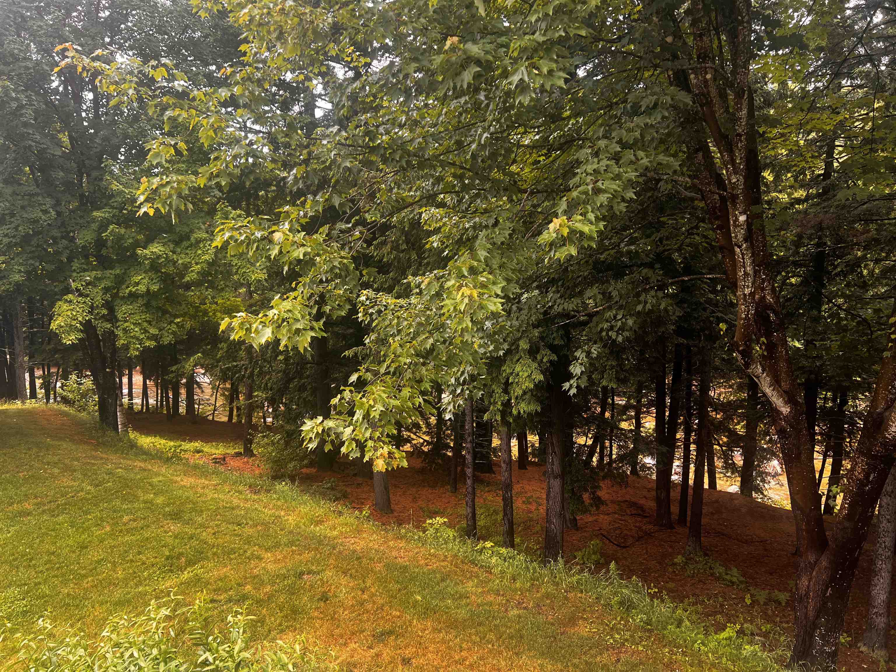 4 Bartlett Pl Road Bartlett, NH 03812 - Photo 46 of 57