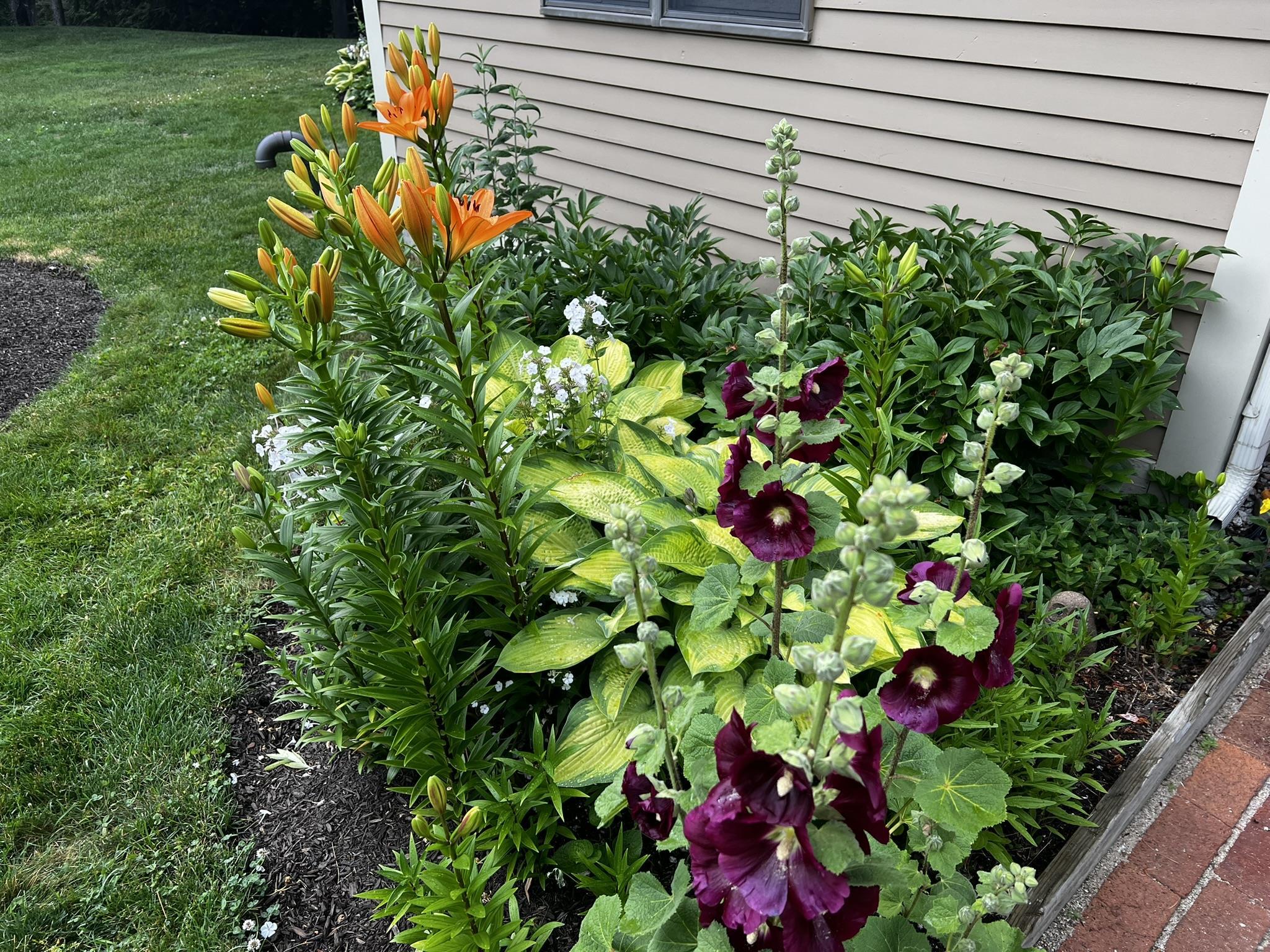 4 Bartlett Pl Road Bartlett, NH 03812 - Photo 55 of 57