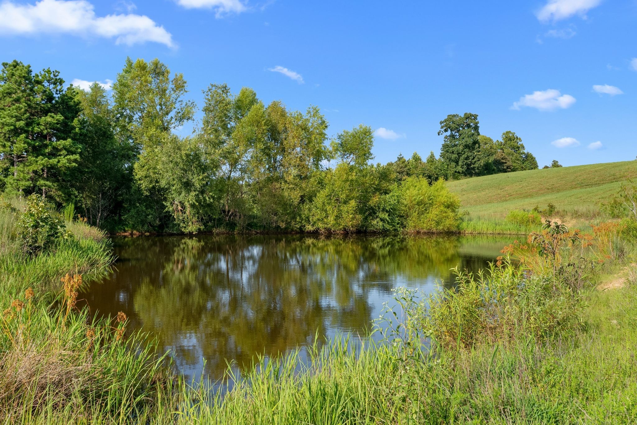 6065 Spencer Road Nunnelly, TN 37137 - Photo 9 of 94 Gallery Image 9