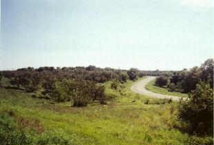 Lot #3 Appleton Ridge Mondamin, IA 51557 - Photo 2 of 4 Listing Photo