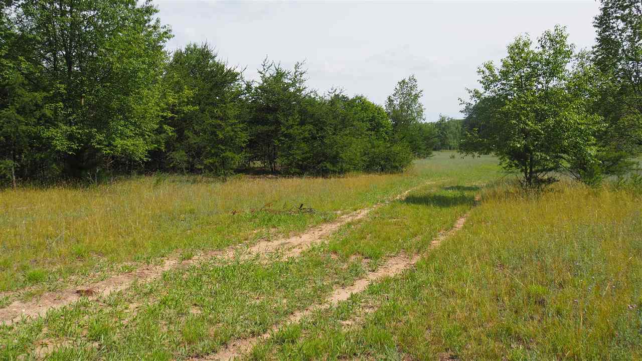18392 Karlin Road Thompsonville, MI 49683 - Photo 31 of 37 1890145-30.JPG