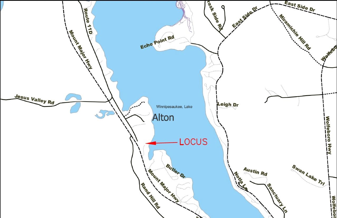 20 Boat Cove Road Alton, NH 03810 - Photo 47 of 60