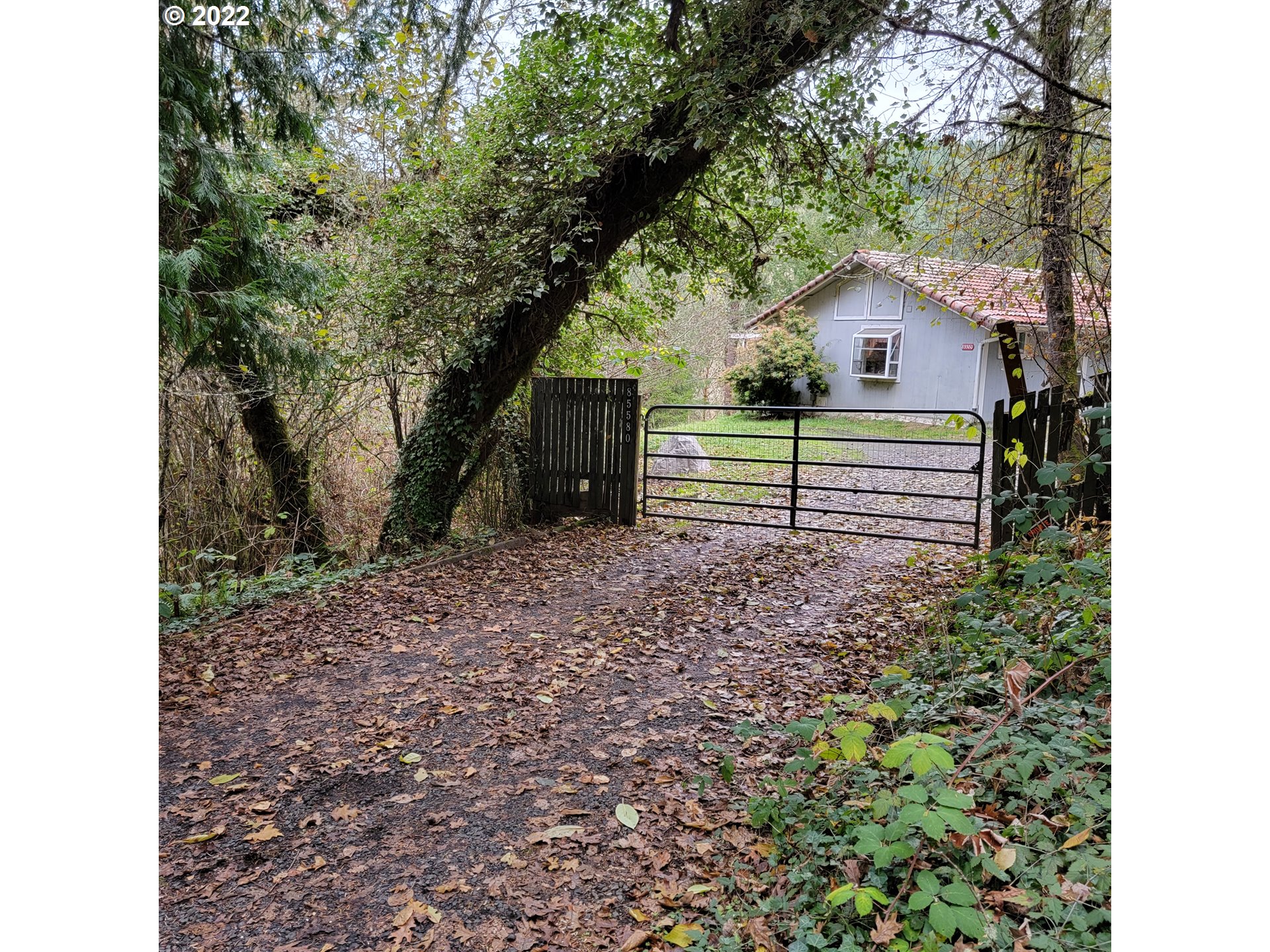 85580 Doane Road Eugene, OR 97402 - Photo 2 of 31 Gallery Image 2